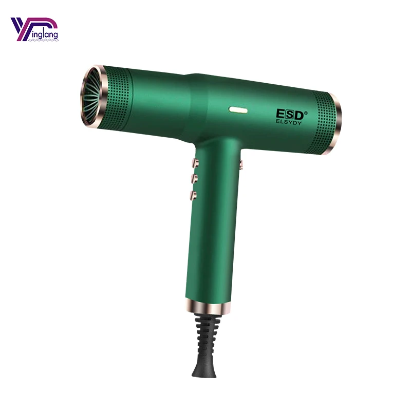 Endurance trendy 1600~1800W Intelligent Temperature Control hair dryer professional salon