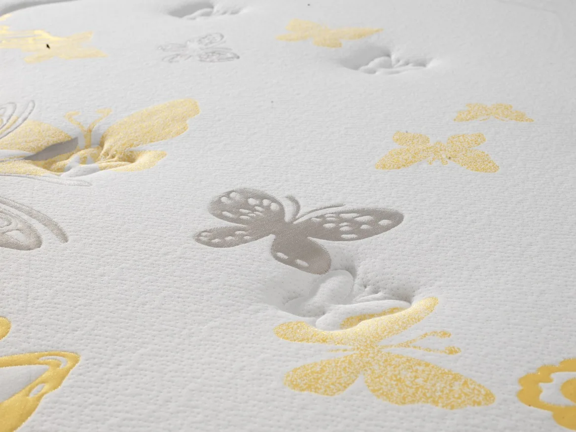 Modern Eco-friendly Coconut Palm Economical Custom 1.8m1.5m Mattress