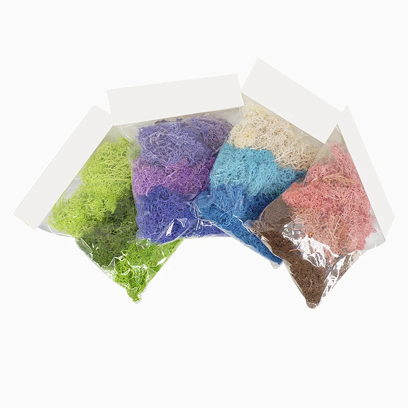 Wholesale Stabilized Preserved Lichen Reindeer Moss For Office Wall Decoration