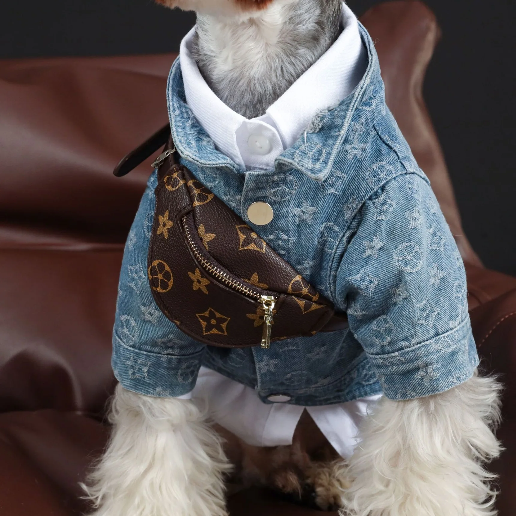 Осенне-зимняя джинсовая рубашка для домашних животных одежда Fadou Schnauzer teddy Shiba Inu Cat