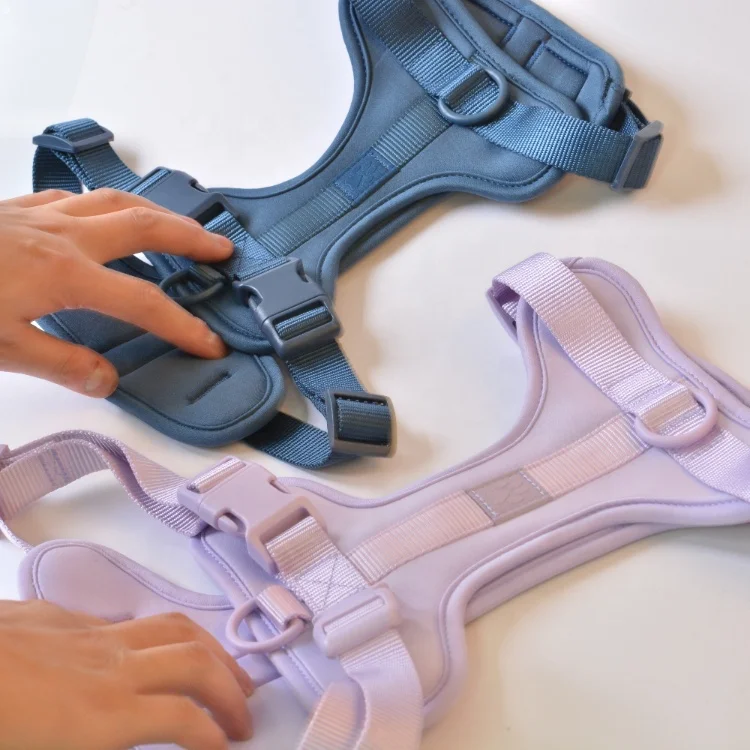 Hot Sale 2023 Manufacturers Luxury design Custom Nylon Adjustable Durable Training Dog Harness leash and collar set