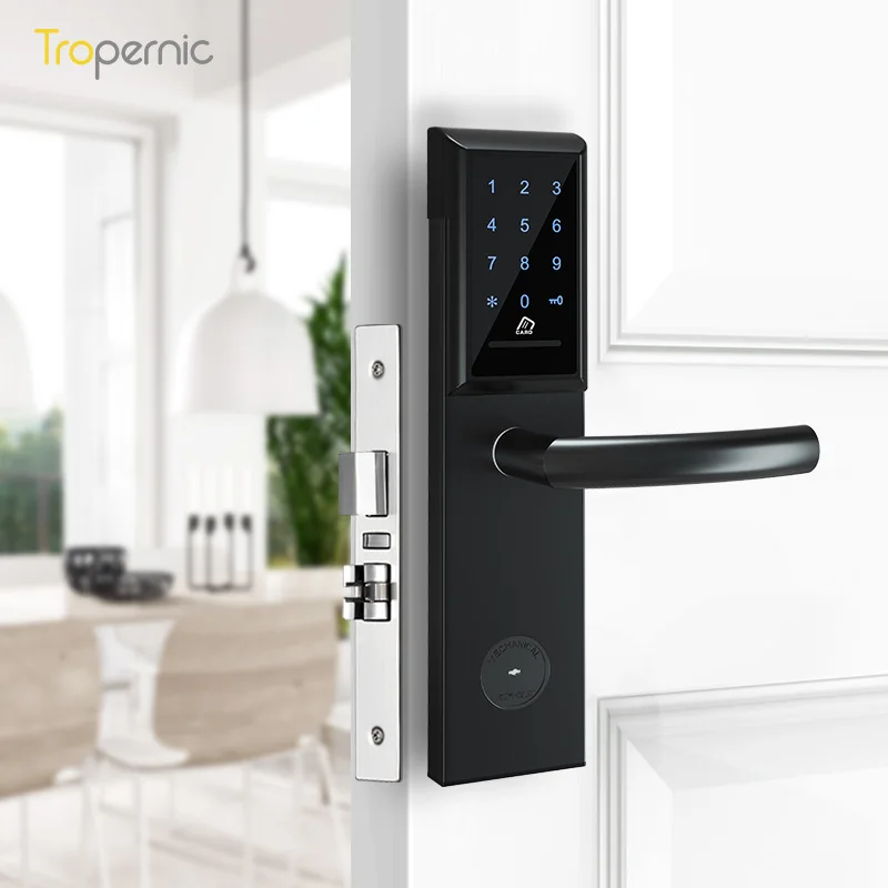Portable Home Office Hotel Push Pull Guangdong Intelligent Lock Rfid Card Key Ttlock Digital Door Lock