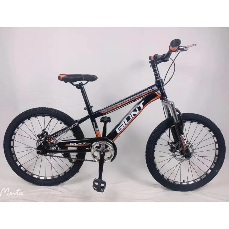 2024 New Model 20-Inch Single Speed Mountain Bike Steel Fork Disc Brake & Ordinary Pedal 20*2.4 Tire Mountain Bikes Bicycle
