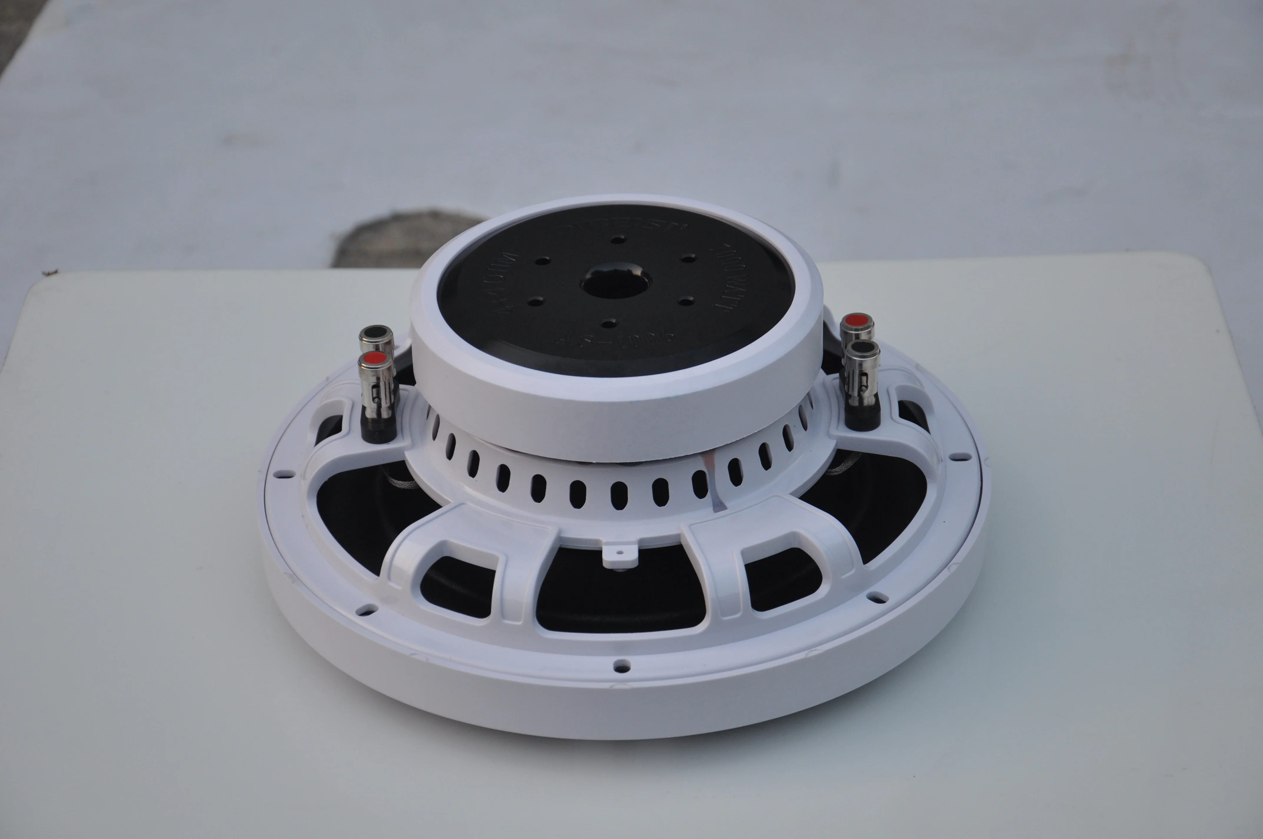 DIBEISI wholesale 8/10/12 inch waterproof super slim high performance dual 4 ohm marine subwoofer speaker DBS8017