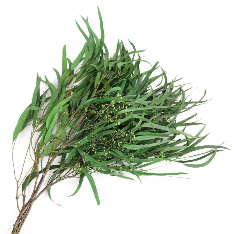 Boho Flower Arrangement  Dry Flower Eucalyptus Dried  leaves For Dried flower Bouquet