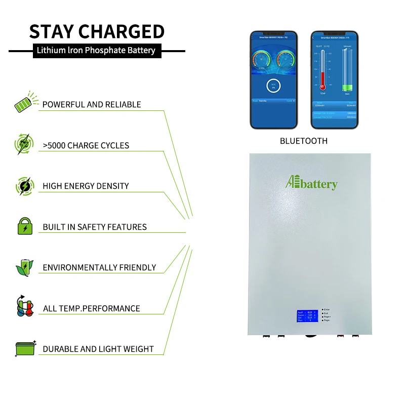 LifePO4 Lithium Battery 24V 48V Solar Energy 200Ah Power Wall Lifepo4 Pack