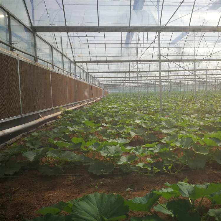 Agricultural Greenhouse Price