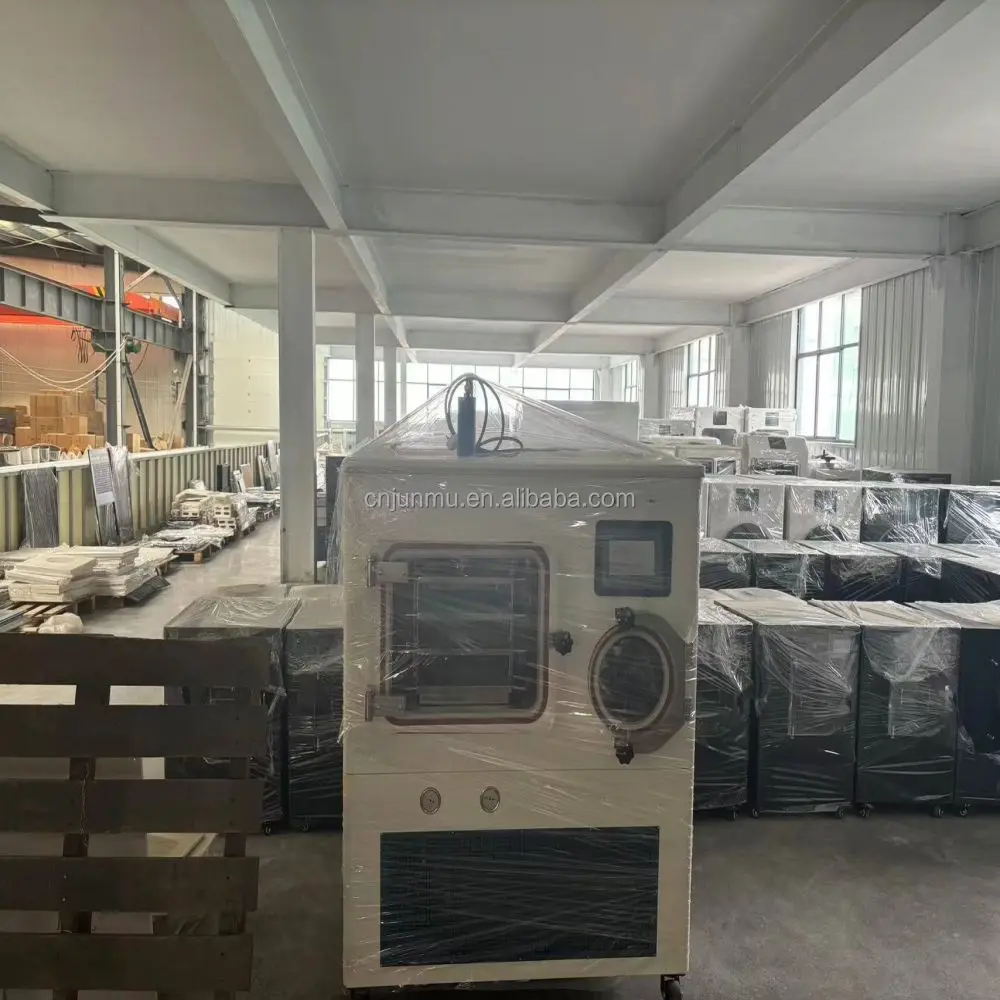 Vacuum Pump/ Small Lab Laboratory Home Use Vacuum Freeze Dryer Price Mini Lypholizers Machine Price