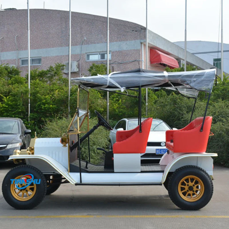 Mini New Electric Cars with 2 Seater Sightseeing Vintage Car