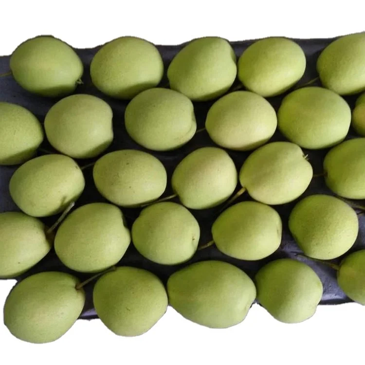 
fresh pear fruit ya pear on sale shandong pear price 