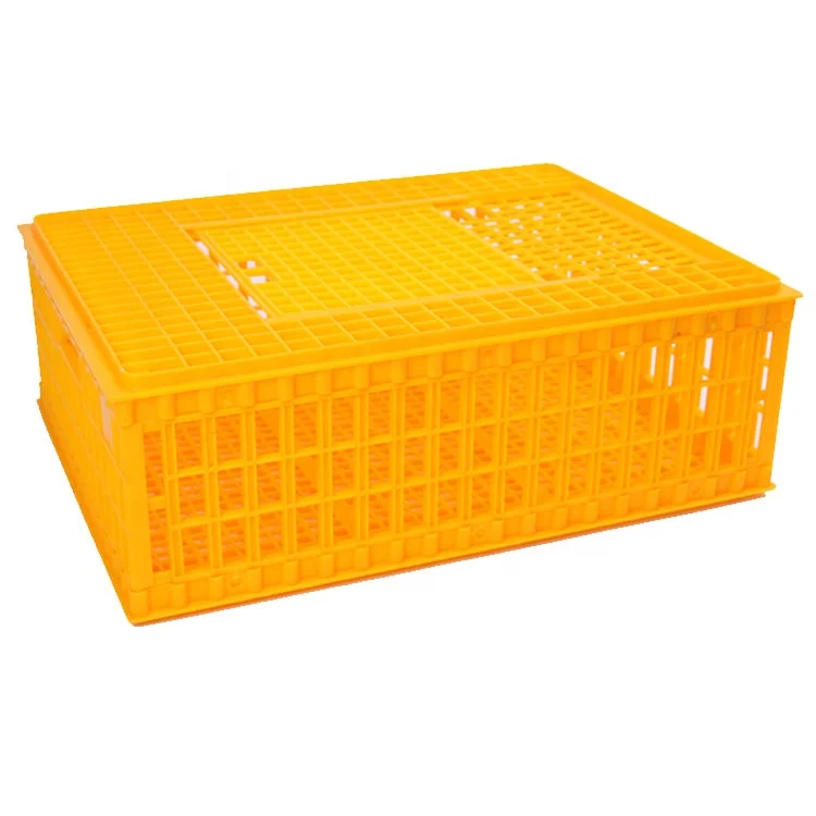 Plastic Chicken Transport Crate /Poultry Carrying Boxes /Used Poultry Cage