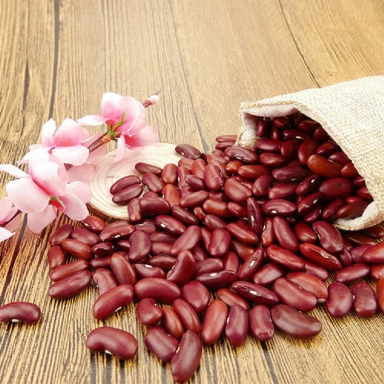 Best selling wholesale red speckled kidney beans