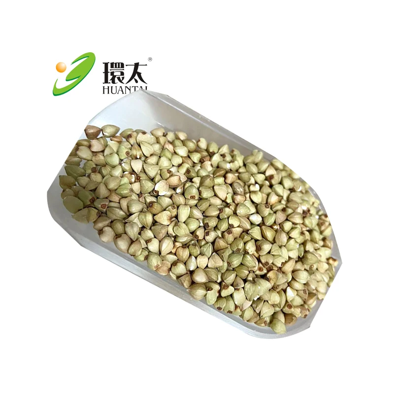 Huantai Direct Wholesale Raw Buckwheat Organic Buckwheat Dehulled