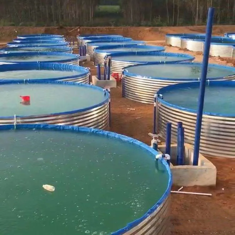 New Product Plastics Portable Indoor Tarpoline Fish Tank Tarpaulin Pond