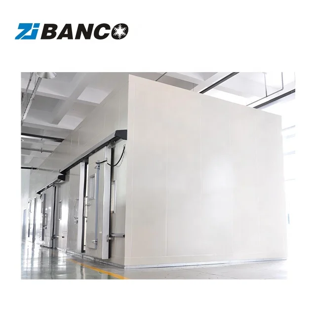 50 Tons Chicken Cold Storage Price, Cooling and Freezing Insulated Cold Storage Room