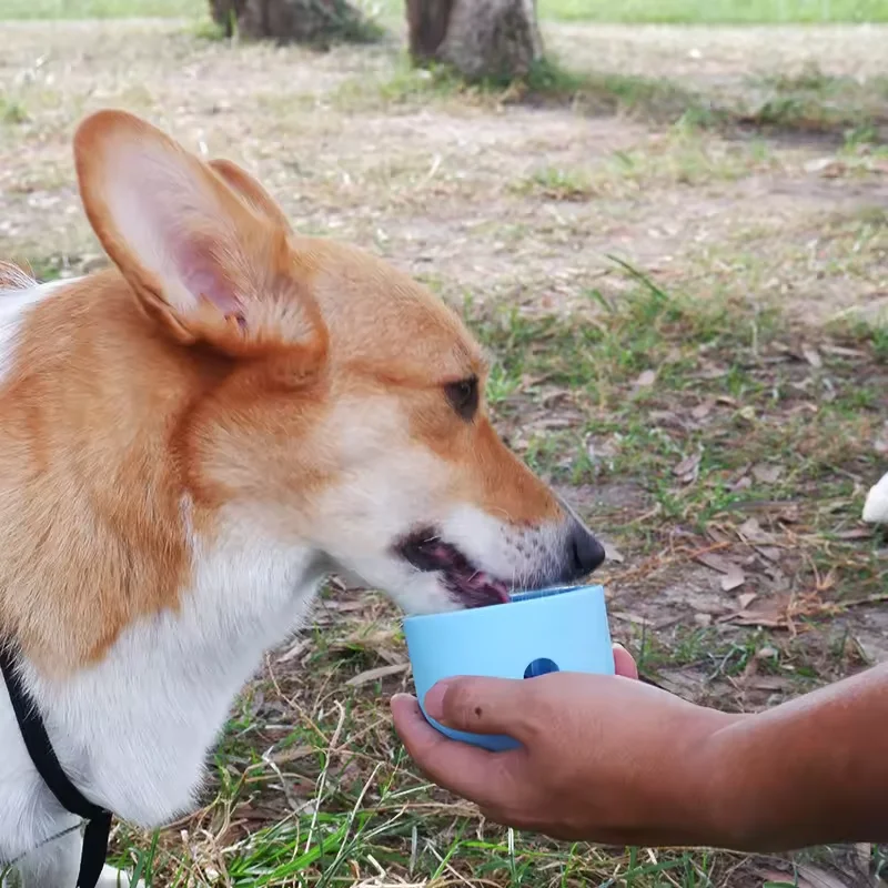 Interactive Pet Dog Toy Leaky Food Device Molar-Tooth Puzzle Ball Leaky Ball for Slow Feeding - Edible Grade Silicone Cat Toy