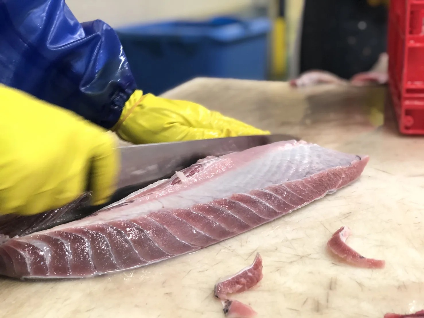 
Guaranteed quality proper price IQF yellowfin frozen tuna belly for fresh seafood 