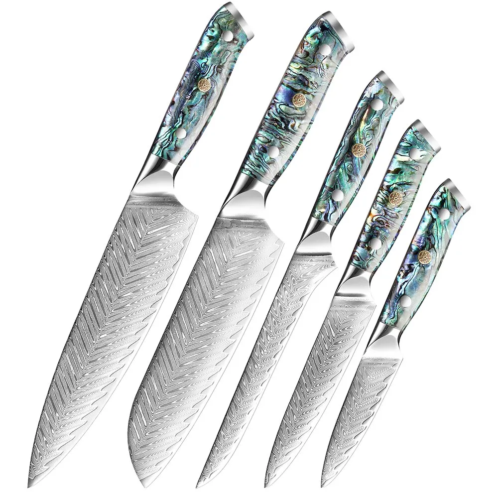 XITUO 1-5 PCS Damascus Steel Chef Knife Set Cut Vegetables Cut Meat Deboning fruit Knife Abalone Shell Handle Kitchen Essentials