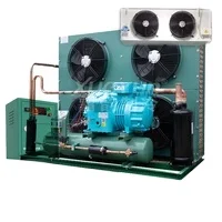 8Hp refrigeration condensing unit Semi-hermetic  Compressor for freezer room