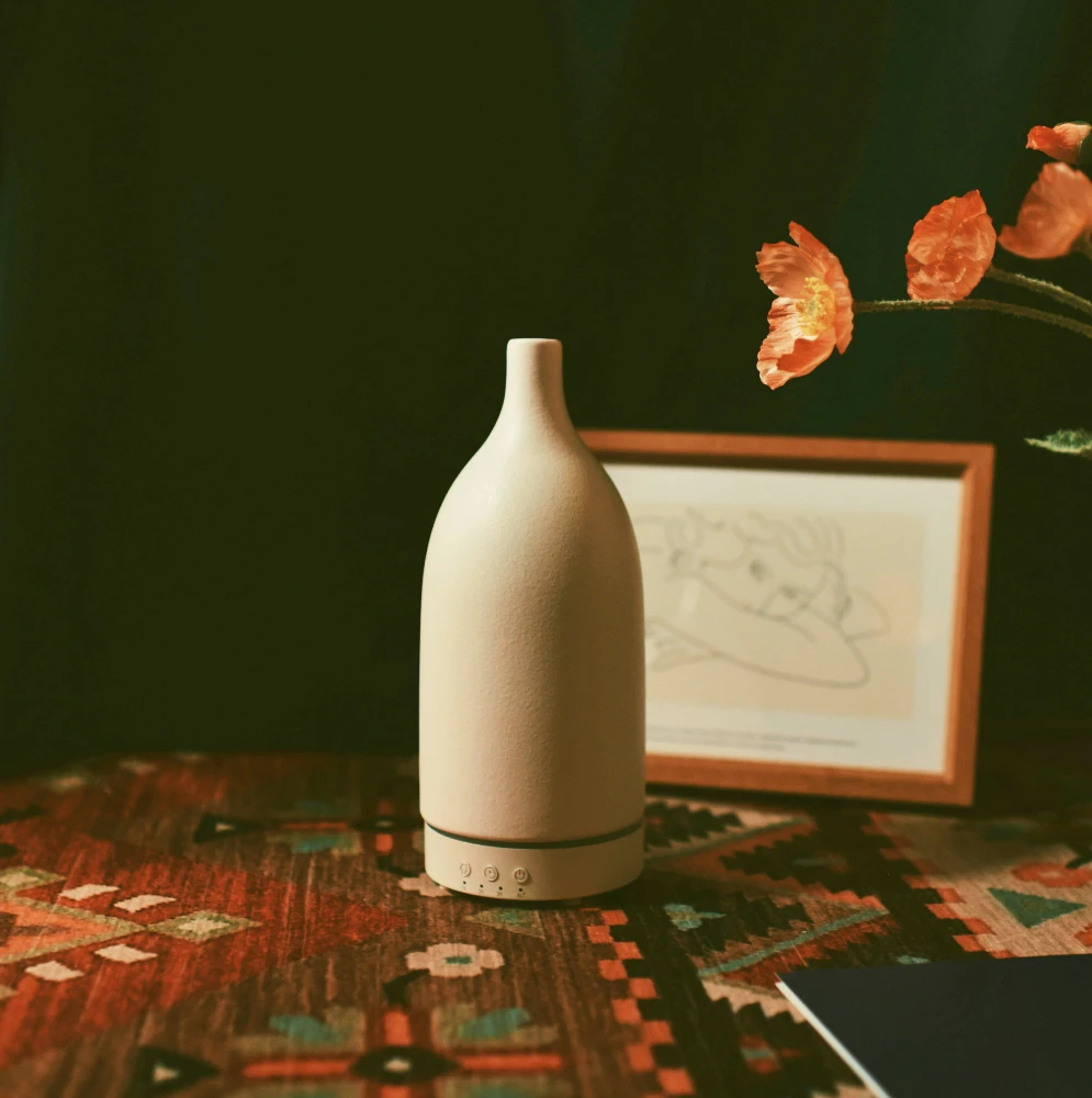 Home application Cool Mist night light atomizer Ceramic oil Diffuser