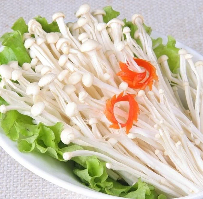 
Fresh Enoki Mushroom 