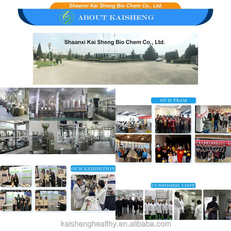 Wholesale Supplement DL-Panthenol 137-08-6 137-08-6 powder