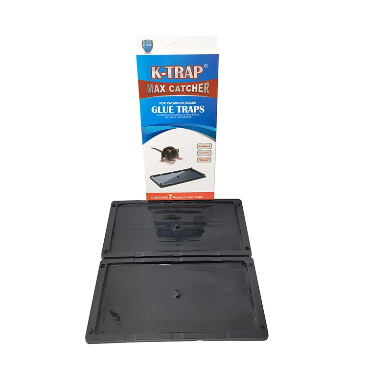 High Quality Strong Sticky Factory Customized Plastic Tray  Rat and Mouse Glue Trap