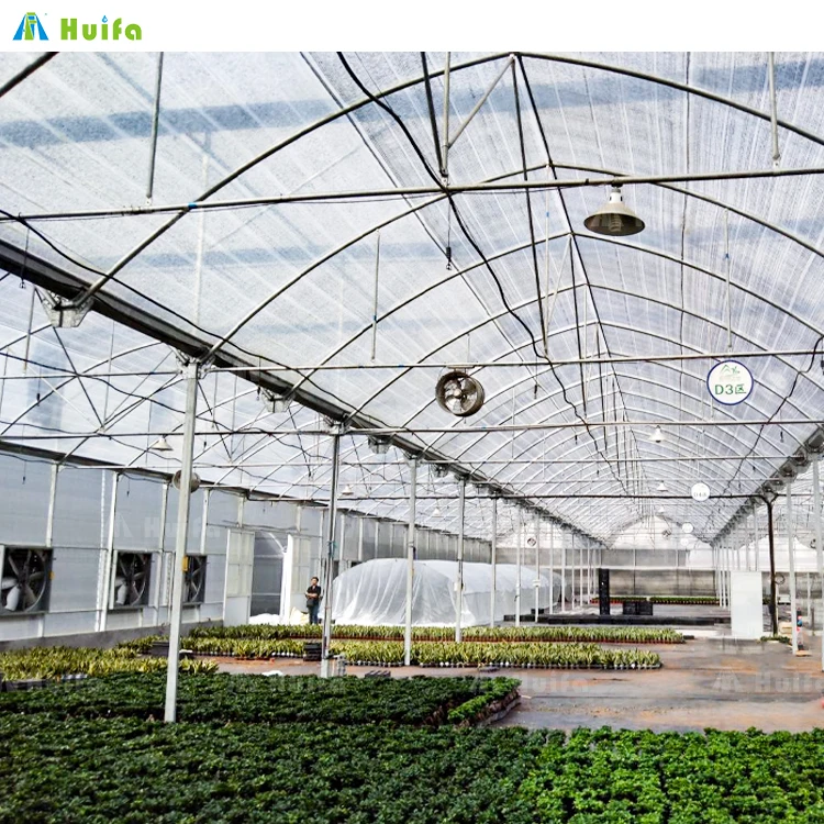40x40m Agriculture Green House Sawtooth Poly Tunnel Hothouse Tropical Greenhouse Serre Agricole