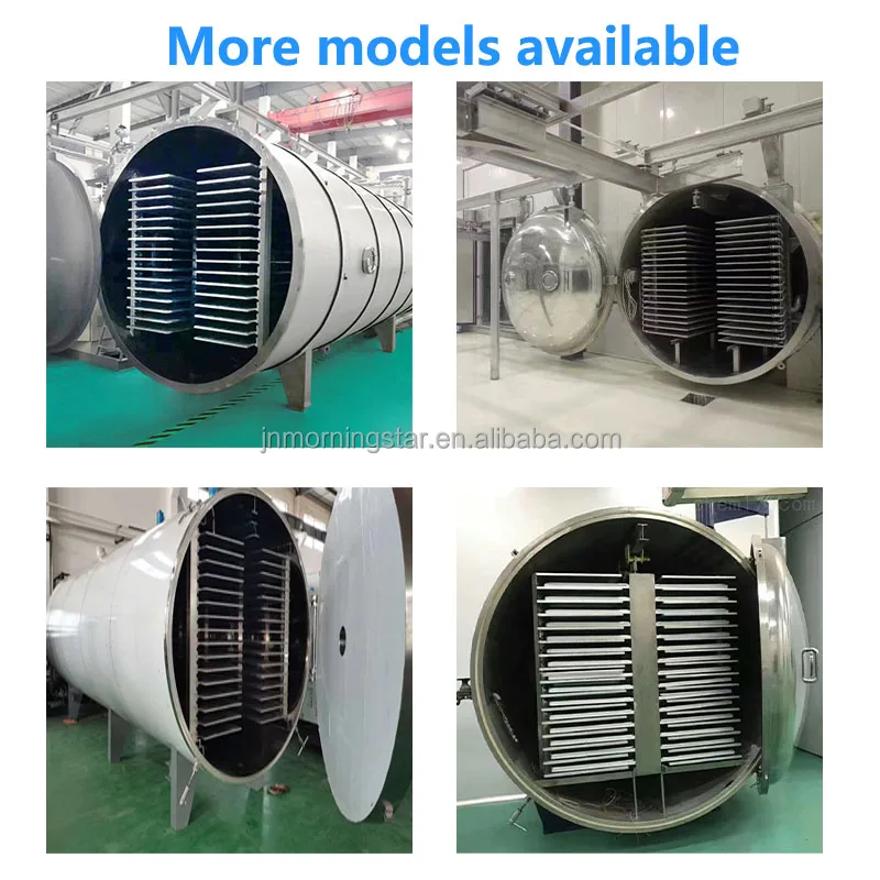 Hot selling automatic food Vegetables Seafood Fruits vacuum freeze dryer Lyophilizer dehydration Machine Equipment Factory price