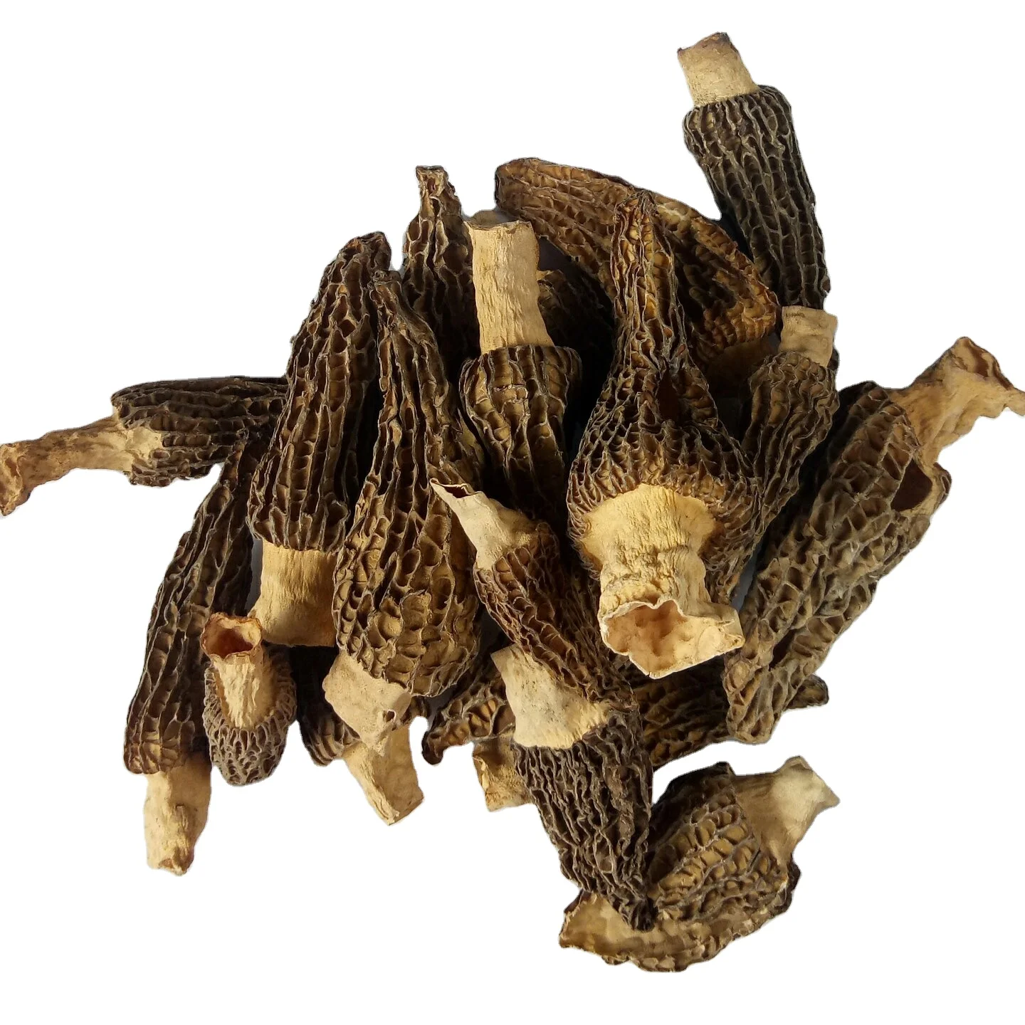 
Food grade 100% pure natural dried Morchella esculenta mushrooms 
