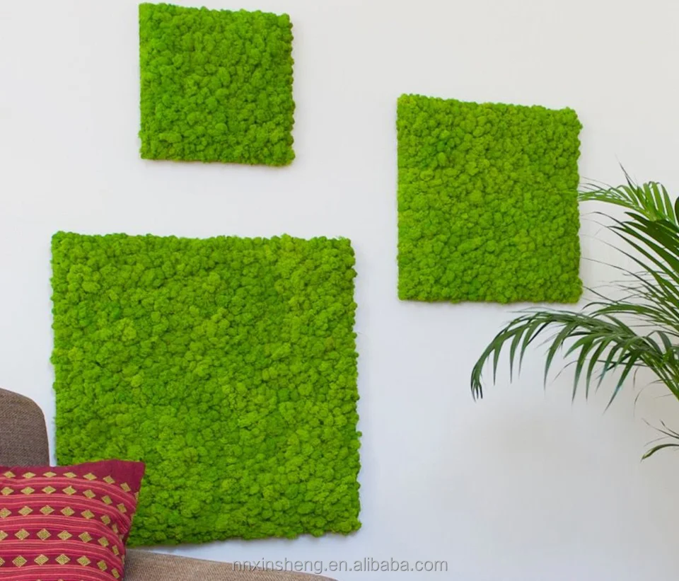 Moss Tile Self Adhesive Moss Wall Decor Preserved  Stabilised Moss