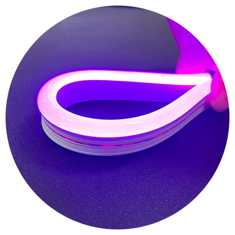 6mm 8mm 10mm DC12V DC24V silicone luce pixel rgb mars lake blue color neon flex led strip light for custom logo led neon sign