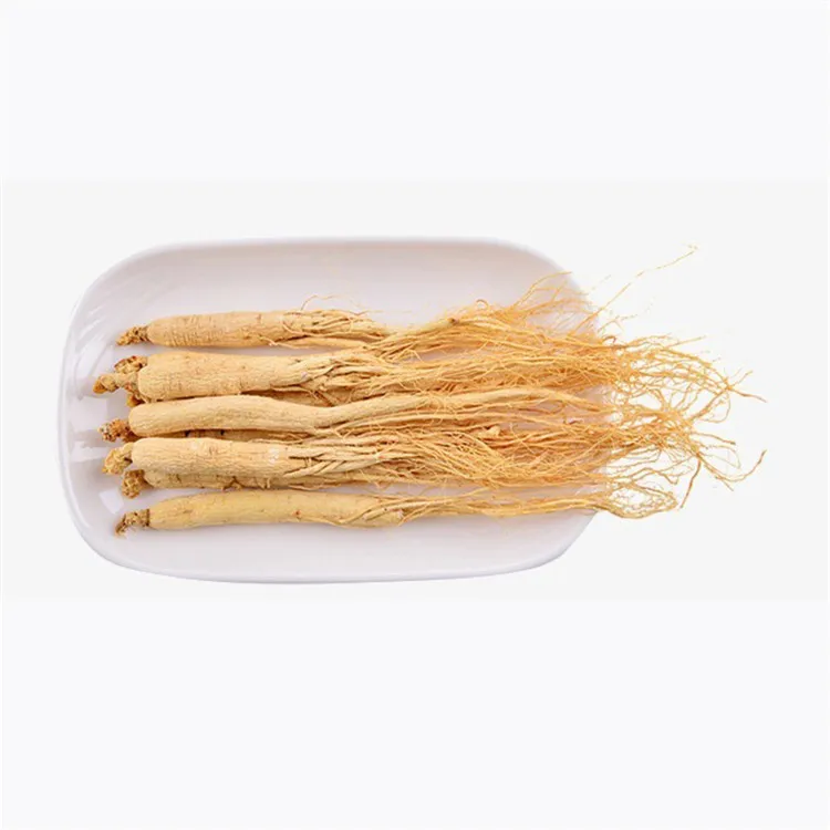 Factory Supply Hot Sale Traditional Chinese Medicine Ginseng For Medical Use