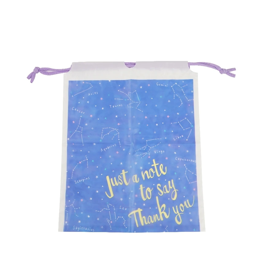 Custom Clear Creative Portable Home Travel Plastic Bags Waterproof Lingerie Bra and Shoes Storage Drawstring Pocket Package