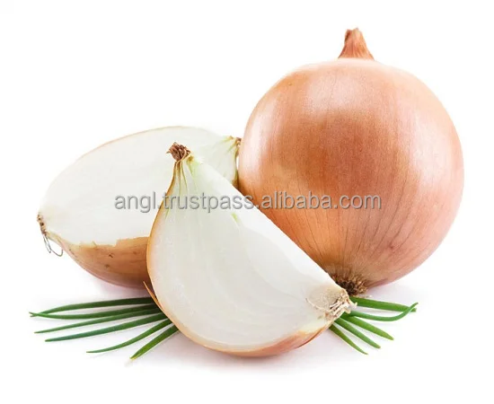big onion.jpg