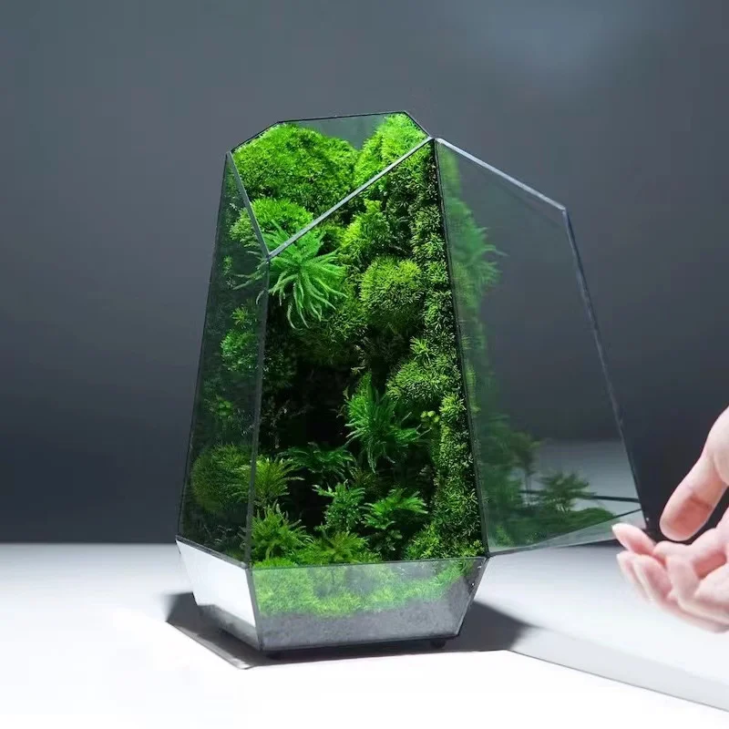 Geometric Glass Terrarium and Glass Cube Hanging Terrarium