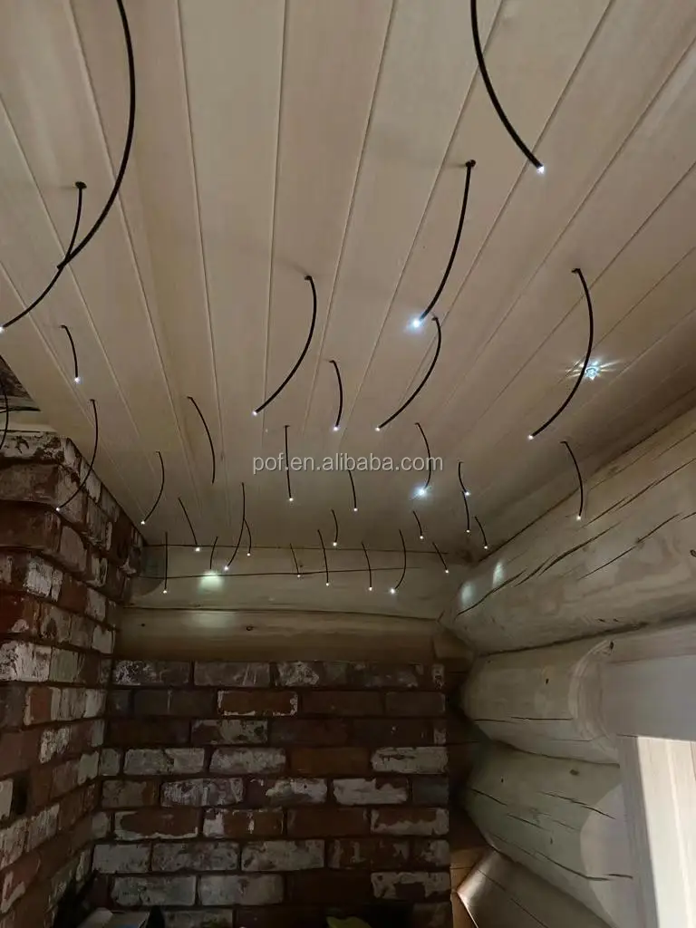 Factory Price Russian BANYA etc Sauna Sky Star Ceiling Fiber Optic Star Ceiling RGB Light with Colors Change