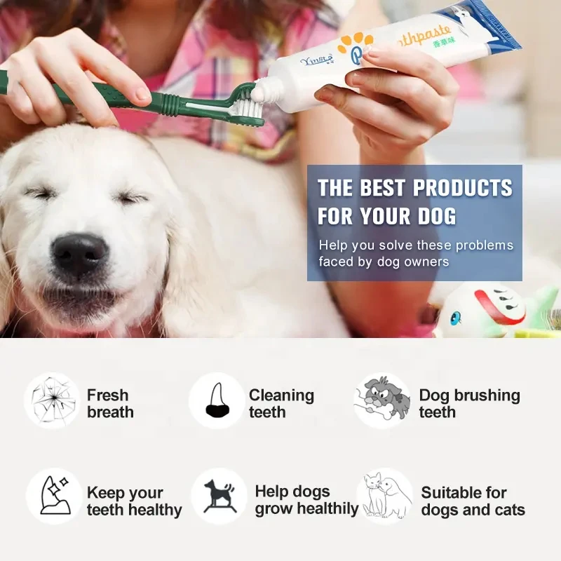 Qbellpet Factory Low Price Manufacturers Selling 70g Vanilla/Beef Flavors Pet Cat Dog Toothpaste