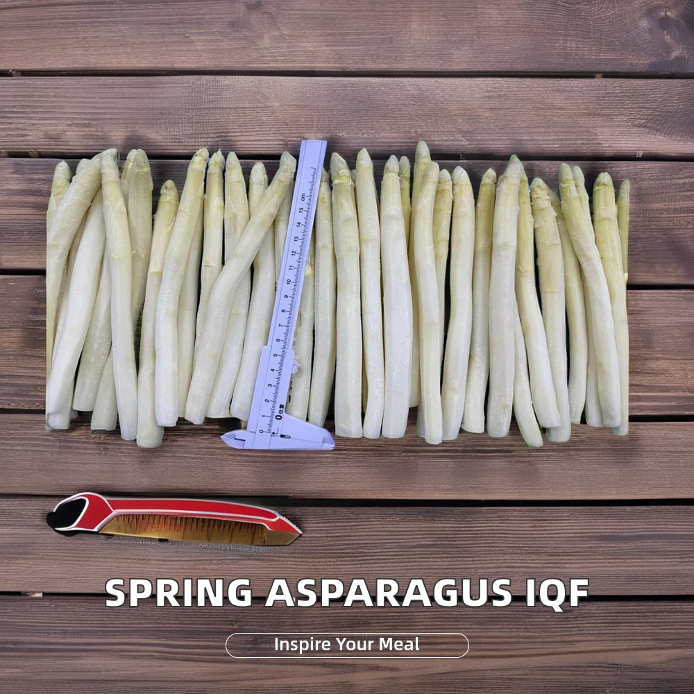IQF frozen white asparagus