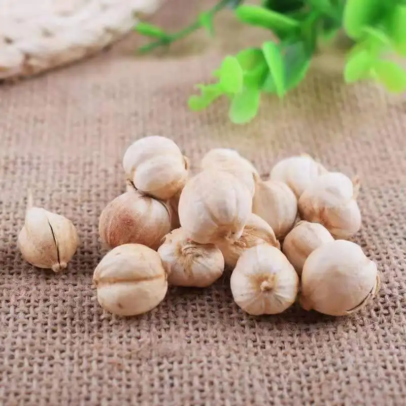 Spices Supplier Wholesale Price Whole Spice Cooking Seasoning High Quality Stock Dried White Cardamon