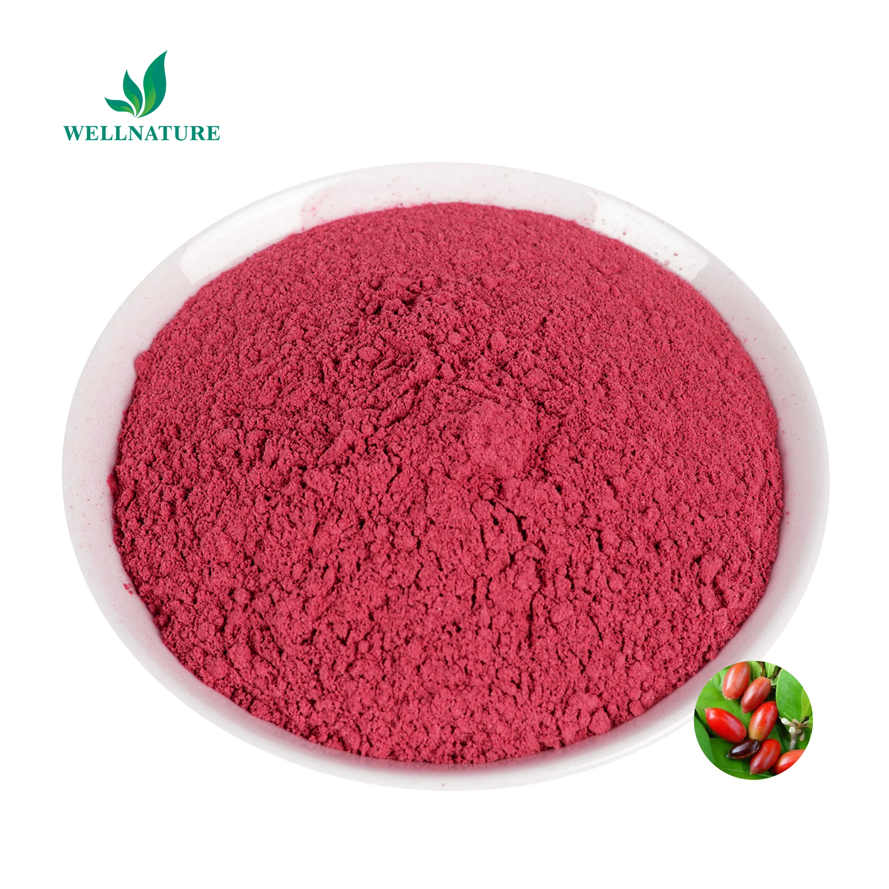Organic Fruit Juice Drink Instant Powder Fruit Flavor Freeze Drying Fruit Juice Powder