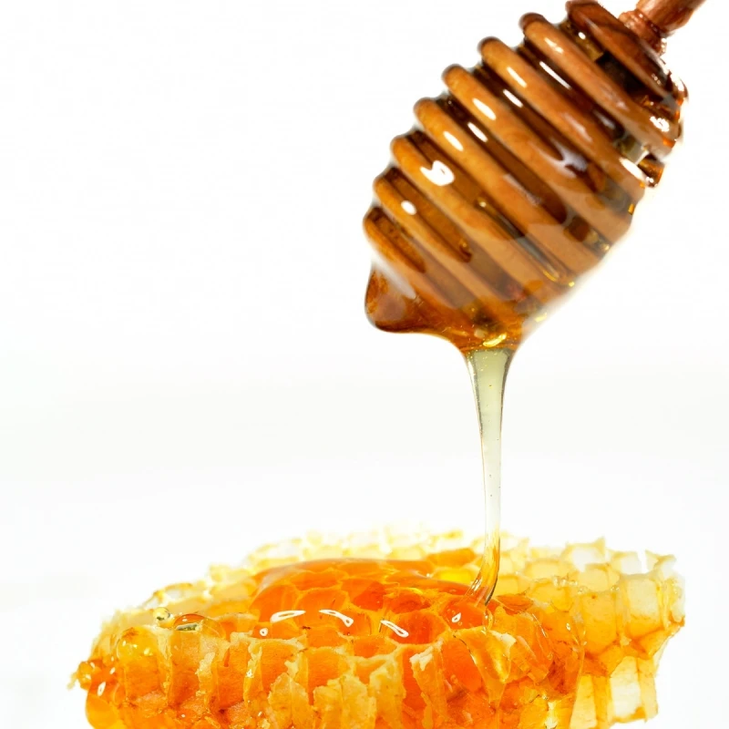 Bee Honey Drinking Honey for Sale Cheap Price Health Care Natural Plastic Container  100% ORIGINAL