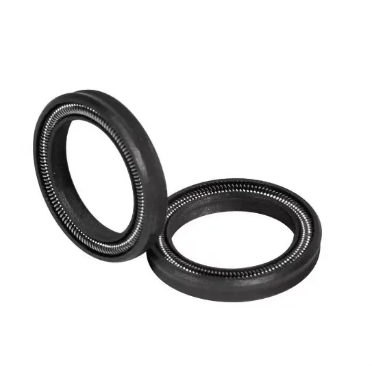 Hot Sale Variseal PTFE Spring Booster Oil Double Lip Seal