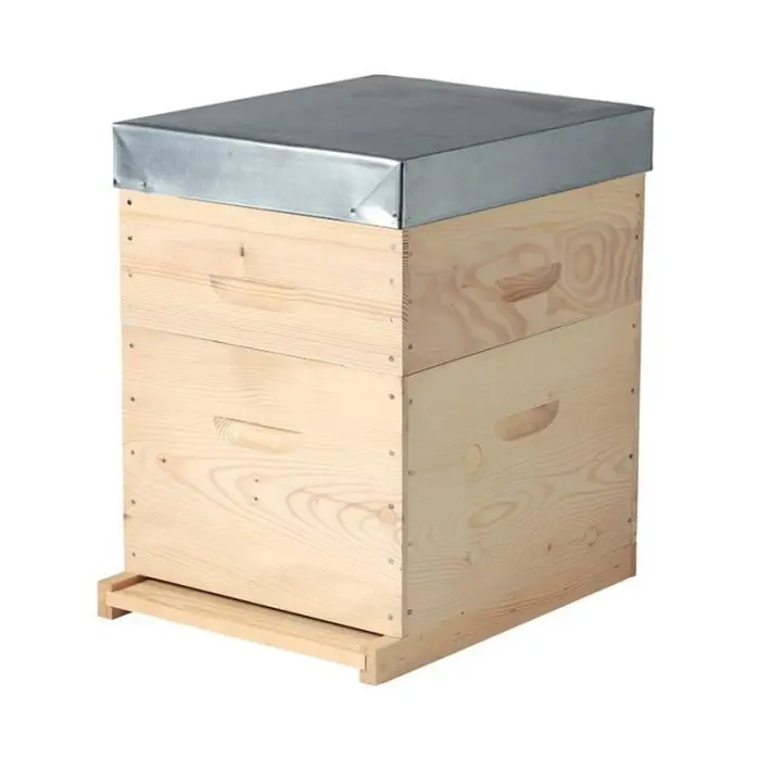 Cheap Beehive Beekeeping Equipment 10 Frame Dadant Beehive Box Polished Bee Hive with Frame & Waxed Foundation