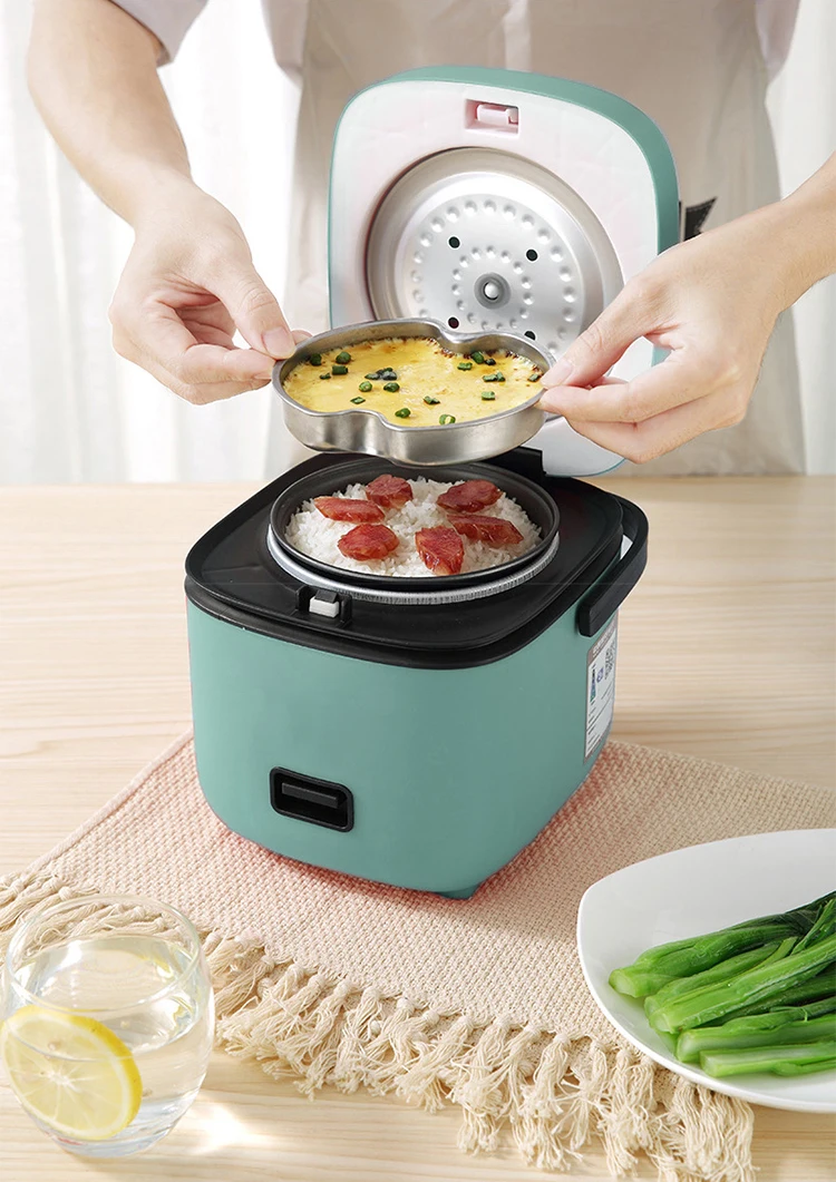 6rice cooker mini.jpg