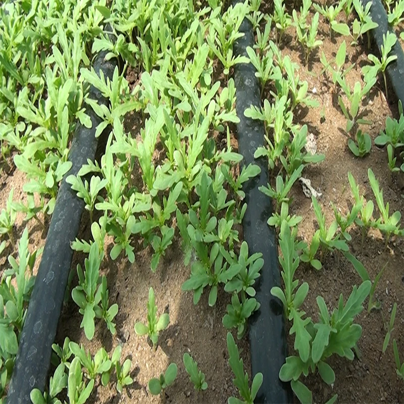 Recommend Plastic irrigation system automatic