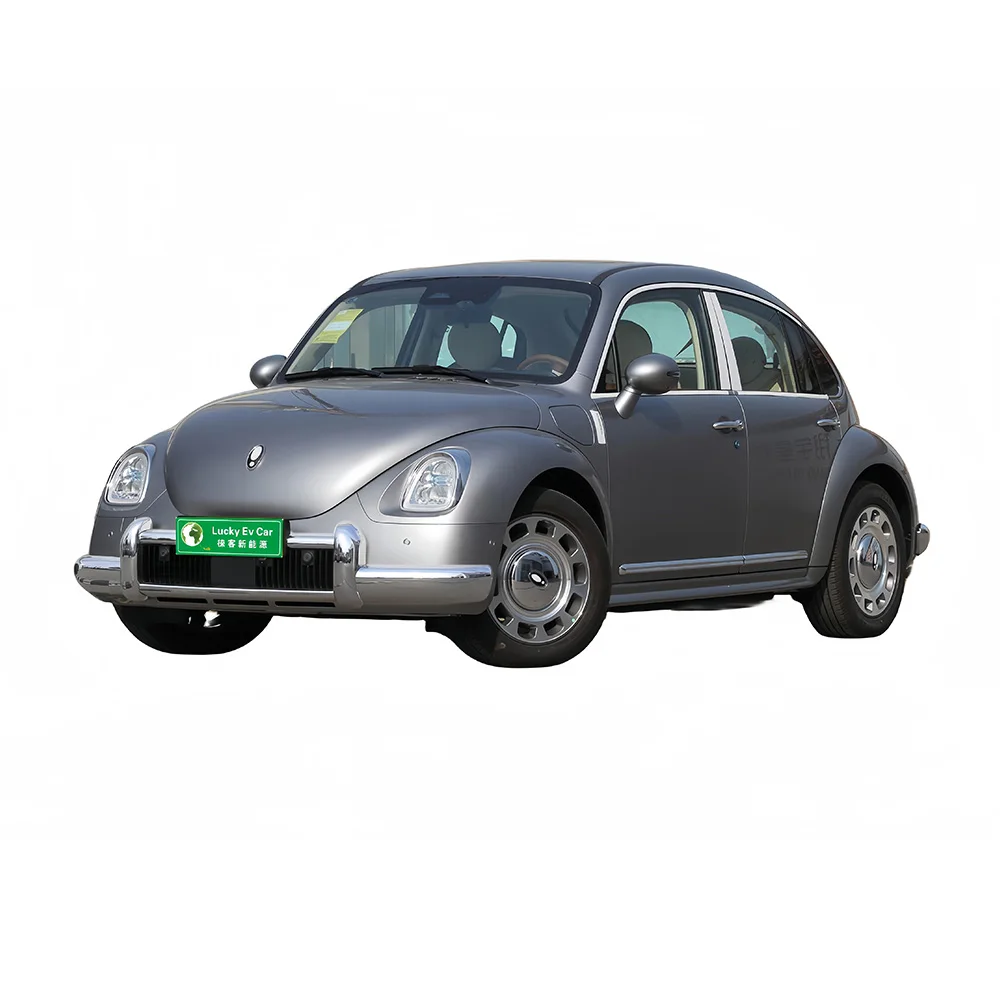 2024 Compact Ev Car Great Wall Euler Ora Ballet Cat 401km 500km Luxury New Energy Car Ora Punk Cat Adult Electric Car