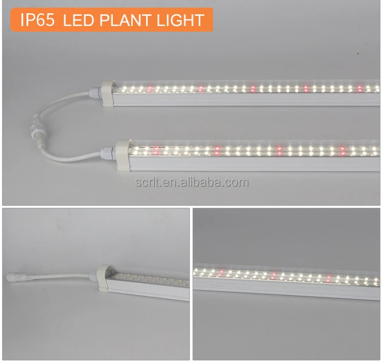 T8 Tubes Grow Light High Brightness Indoor Plants Leds Full Spectrum LED waterproof IP65 home plant factory lighting 0.9m 14W28W