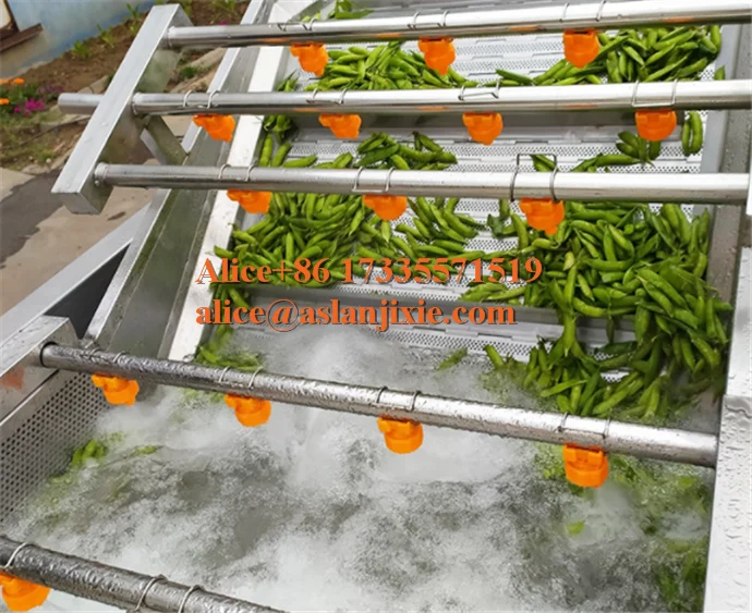 Edamame pea carob air bubble ozone washing machine/high pressure water sprayer vegetable cleaner
