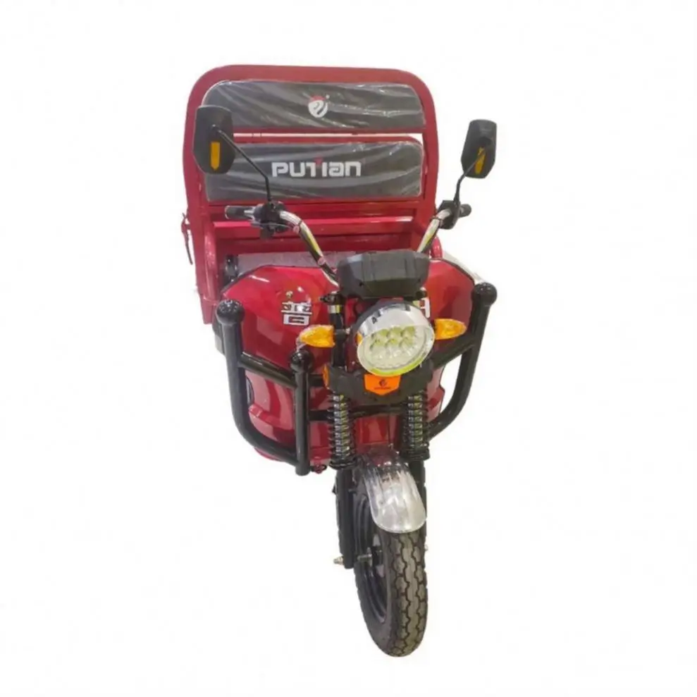 Foldable 100Kg 3 Wheel Electric Tricycle Ice Cream Bike for Sale